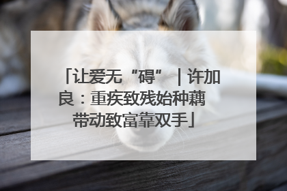 让爱无“碍”｜许加良：重疾致残始种藕 带动致富靠双手