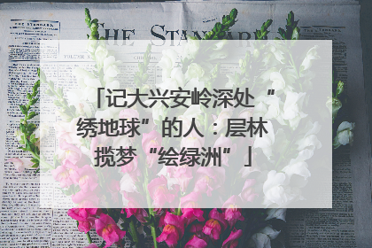记大兴安岭深处“绣地球”的人：层林揽梦“绘绿洲”