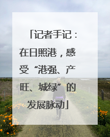 记者手记：在日照港，感受“港强、产旺、城绿”的发展脉动