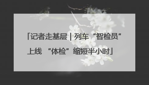 记者走基层｜列车“智检员”上线 “体检”缩短半小时