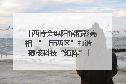 西博会绵阳馆精彩亮相 “一厅两区”打造硬核科技“矩阵”
