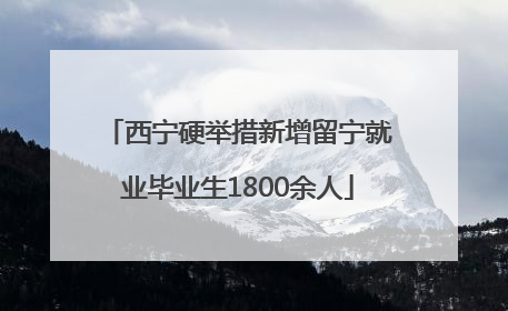 西宁硬举措新增留宁就业毕业生1800余人