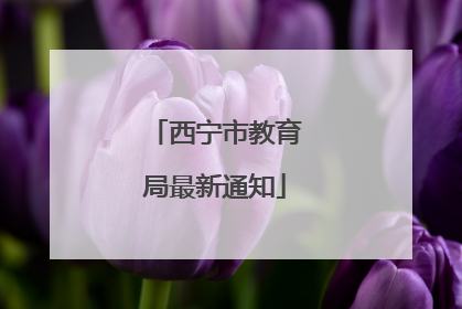 西宁市教育局最新通知