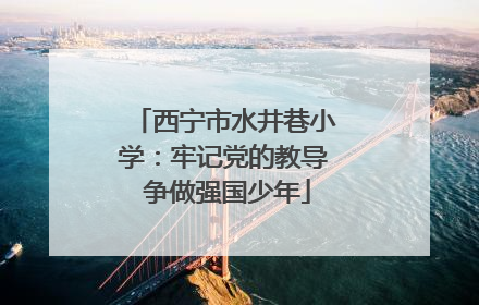 西宁市水井巷小学：牢记党的教导 争做强国少年