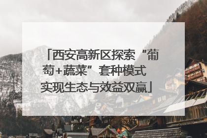 西安高新区探索“葡萄+蔬菜”套种模式 实现生态与效益双赢