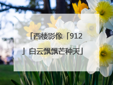 西楼影像「912」白云飘飘芒种天