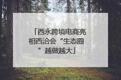 西永跨境电商亮相西洽会“生态圈”越做越大