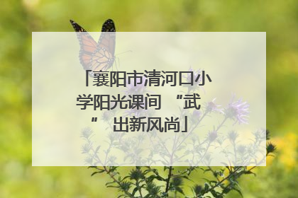 襄阳市清河口小学阳光课间 “武” 出新风尚