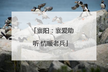 襄阳：襄爱助听 情暖老兵