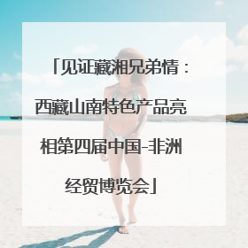见证藏湘兄弟情：西藏山南特色产品亮相第四届中国-非洲经贸博览会
