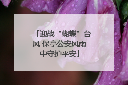 迎战“蝴蝶”台风 保亭公安风雨中守护平安