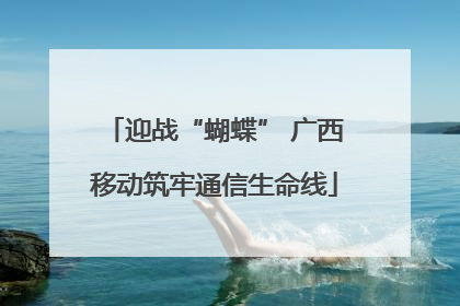 迎战“蝴蝶” 广西移动筑牢通信生命线