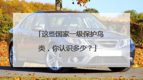 这些国家一级保护鸟类，你认识多少？