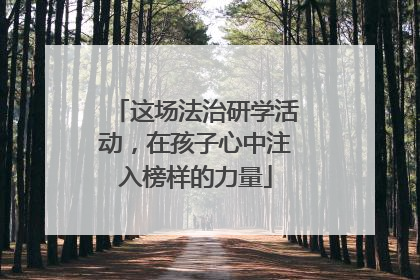 这场法治研学活动，在孩子心中注入榜样的力量