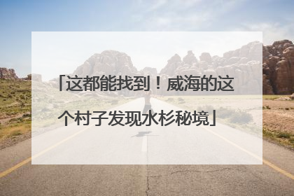 这都能找到！威海的这个村子发现水杉秘境