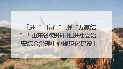 进“一扇门” 解“万家结”！山东省德州市推进社会治安综合治理中心规范化建设