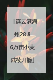 连云港海州28.86万亩小麦陆续开镰