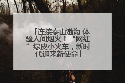 连接泰山渤海 体验人间烟火！“网红”绿皮小火车，新时代迎来新使命