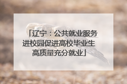 辽宁：公共就业服务进校园促进高校毕业生高质量充分就业