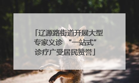辽源路街道开展大型专家义诊 “一站式”诊疗广受居民赞誉