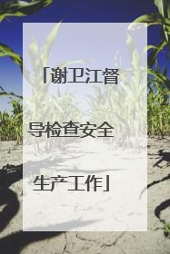 谢卫江督导检查安全生产工作
