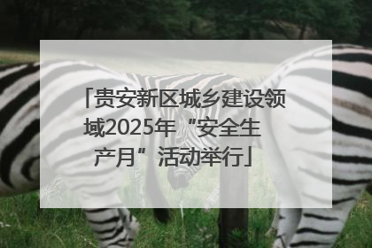 贵安新区城乡建设领域2025年“安全生产月”活动举行