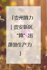 贵州算力｜贵安新区：“算”出蓬勃生产力