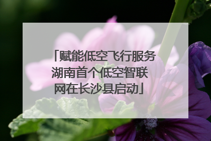 赋能低空飞行服务 湖南首个低空智联网在长沙县启动