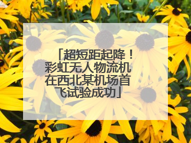 超短距起降！彩虹无人物流机在西北某机场首飞试验成功