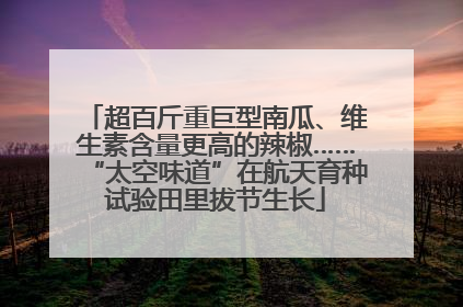 超百斤重巨型南瓜、维生素含量更高的辣椒……“太空味道”在航天育种试验田里拔节生长