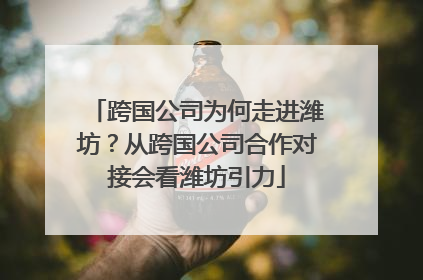 跨国公司为何走进潍坊？从跨国公司合作对接会看潍坊引力