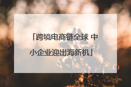 跨境电商链全球 中小企业迎出海新机
