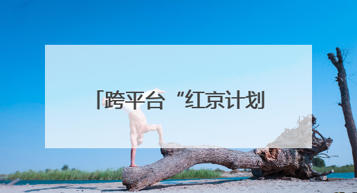 跨平台“红京计划”发布：加速实现从内容种草到交易转化丨变革618