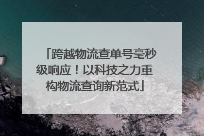 跨越物流查单号毫秒级响应！以科技之力重构物流查询新范式