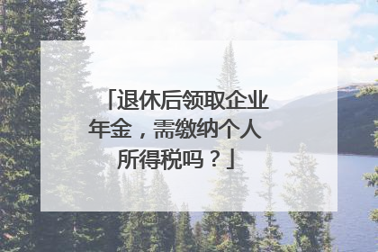退休后领取企业年金，需缴纳个人所得税吗？
