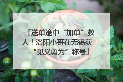 送单途中“加单”救人！洛阳小哥在无锡获“见义勇为”称号