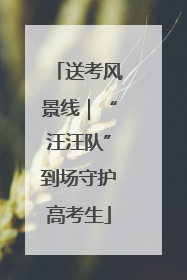 送考风景线｜“汪汪队”到场守护高考生