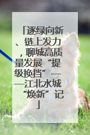 逐绿向新、链上发力，聊城高质量发展“提级换挡”——江北水城“焕新”记