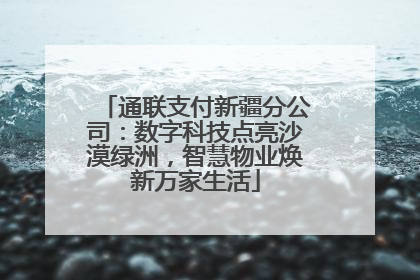 通联支付新疆分公司：数字科技点亮沙漠绿洲，智慧物业焕新万家生活