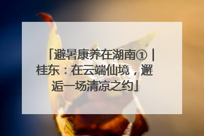 避暑康养在湖南①｜桂东：在云端仙境，邂逅一场清凉之约