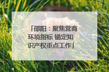 邵阳：聚焦营商环境指标 锚定知识产权重点工作