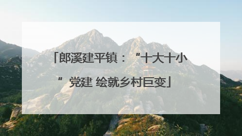 郎溪建平镇：“十大十小”党建 绘就乡村巨变