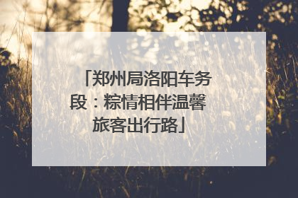 郑州局洛阳车务段：粽情相伴温馨旅客出行路