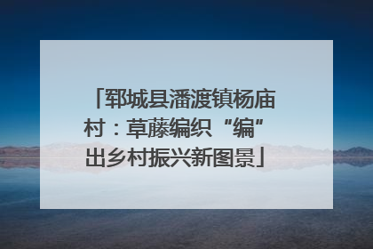 郓城县潘渡镇杨庙村：草藤编织“编”出乡村振兴新图景