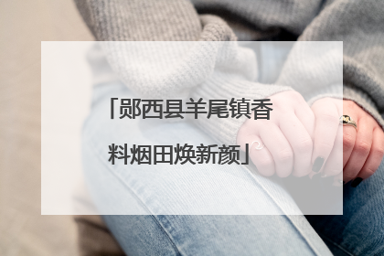郧西县羊尾镇香料烟田焕新颜