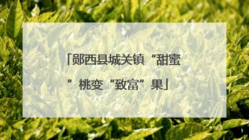 郧西县城关镇“甜蜜”桃变“致富”果