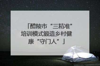 醴陵市“三精准”培训模式锻造乡村健康“守门人”