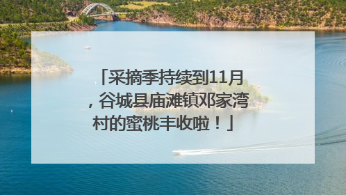 采摘季持续到11月，谷城县庙滩镇邓家湾村的蜜桃丰收啦！