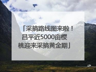 采摘路线图来啦！昌平近5000亩樱桃迎来采摘黄金期