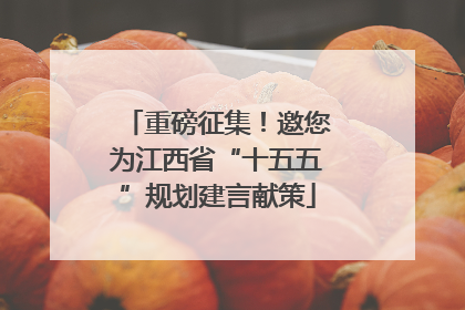 重磅征集！邀您为江西省“十五五”规划建言献策